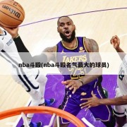 nba斗殴(nba斗殴名气最大的球员)